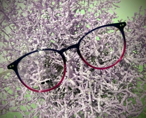 optik-steck-speyer-eschenbach-5